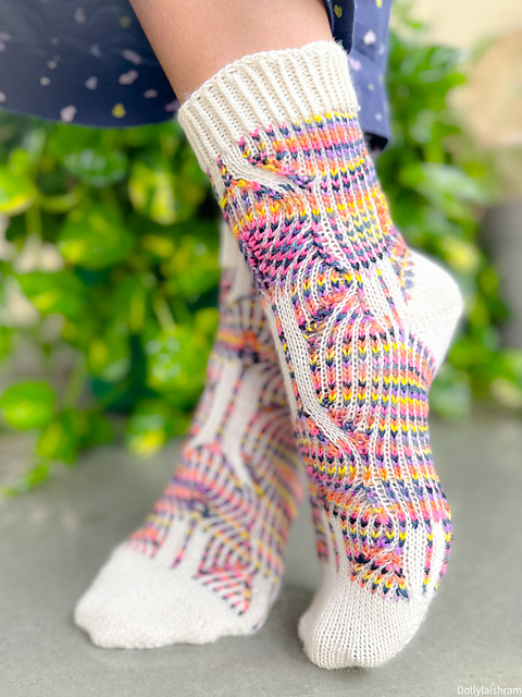Toe-Up August 2023 Socks