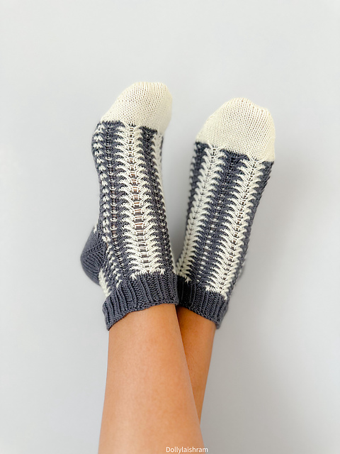 Toe-Up November 2023 Socks