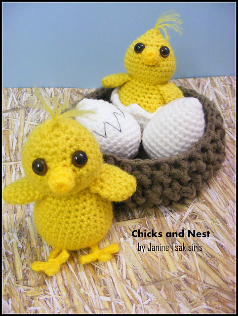 Chicks and Nest