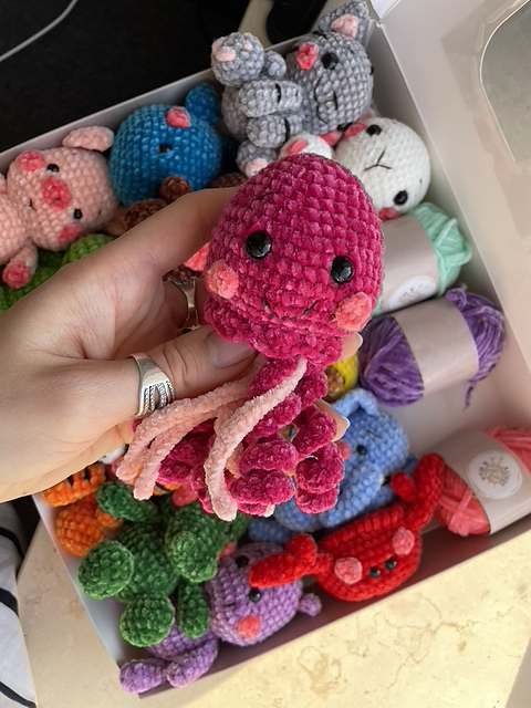 Jellyfish Out of the Box