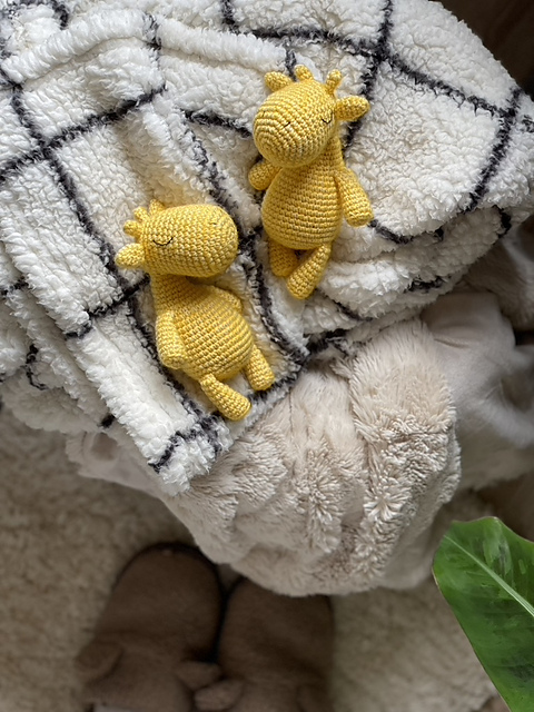 Baby Giraffe
