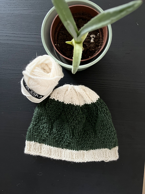 Forest Pinecone Hat