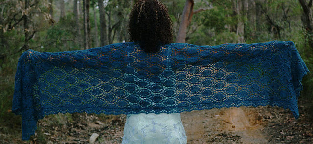 Lace Peacock Wrap