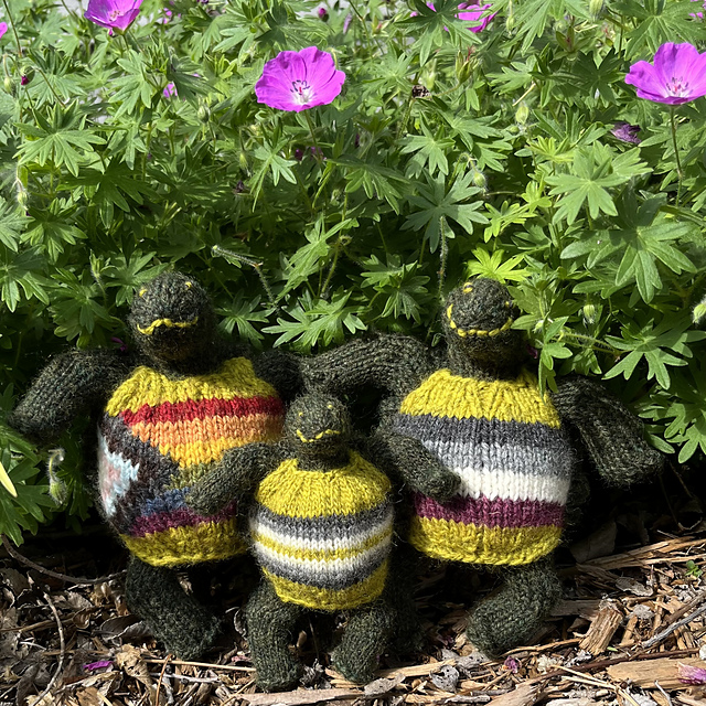 Extra pride flag charts for Little Turtle Friend