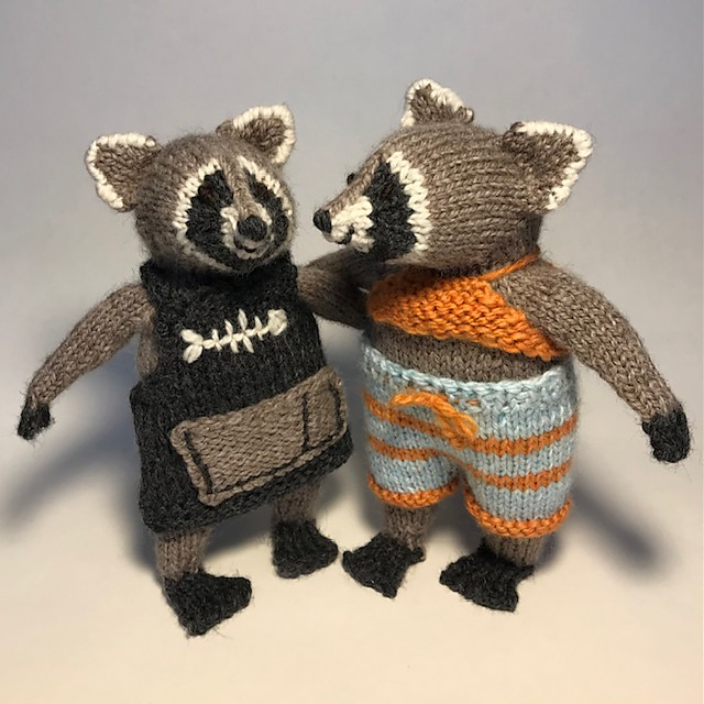 Little Raccoon Friend