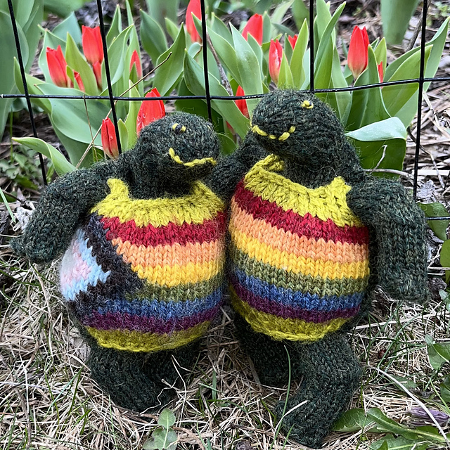 Little Turtle Friend