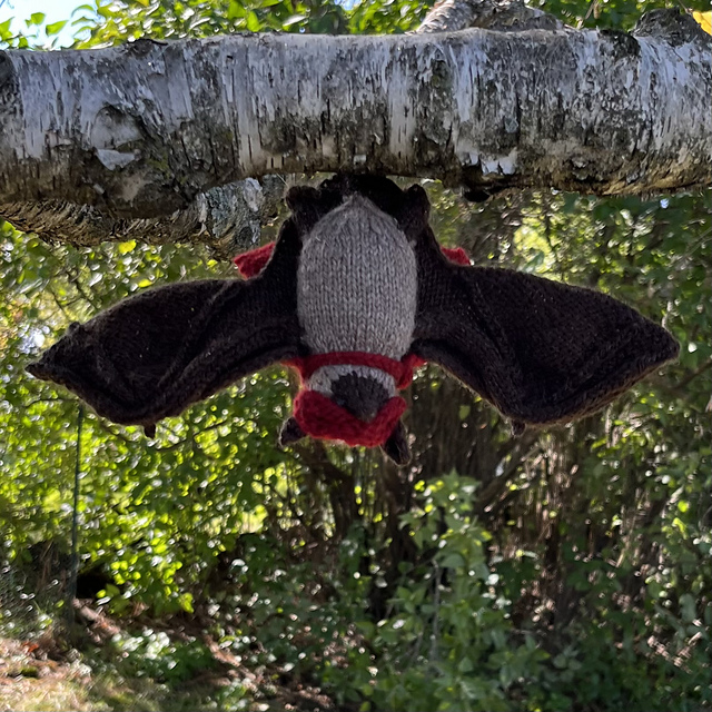 Little Bat Friend