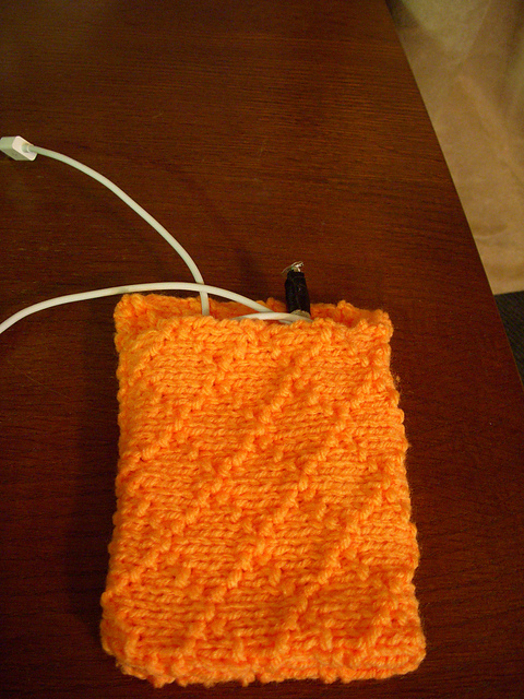 iPad Accessory Case