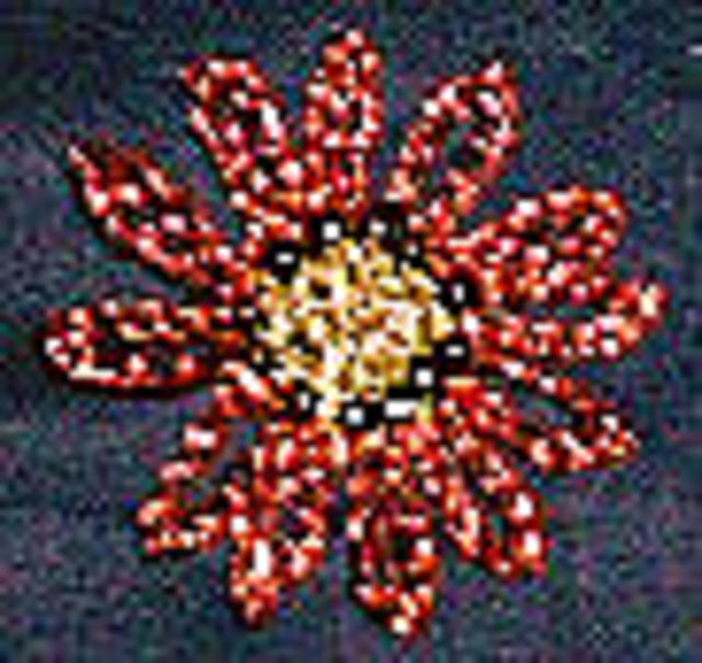 Wire and Bead Flower 