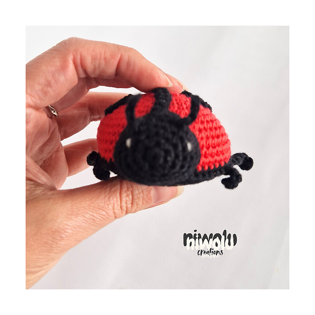 Little ladybug