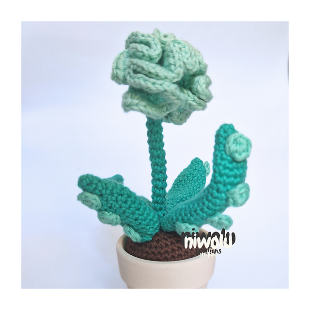 Tentacle plant