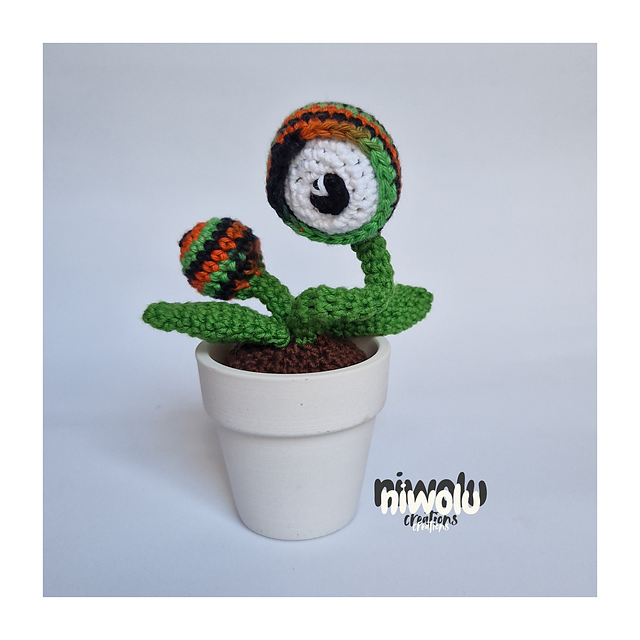 Eyeball mini plant