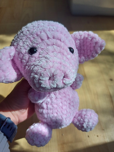 Piggy