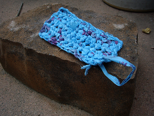 Earth Day Shower Scrubbie