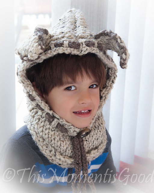 Puppy Hood with Cowl