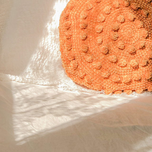 Round Velvet Pillow Case