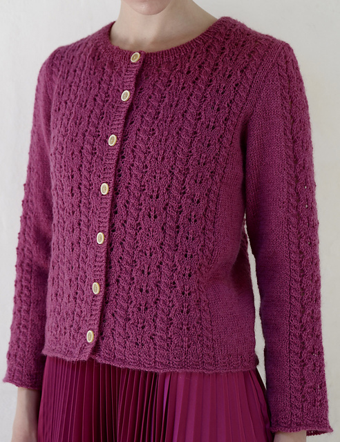 #18 Cable and Lace Cardigan
