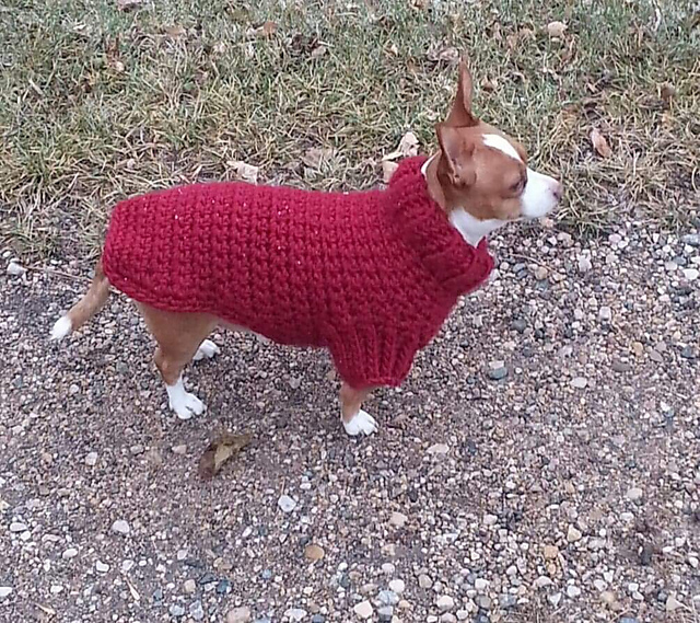 Buddy’s Sweater