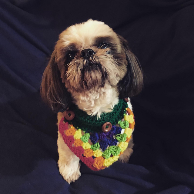 dog bandana