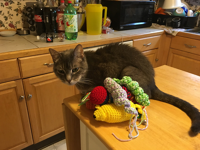 Curly Swirly Cat toy
