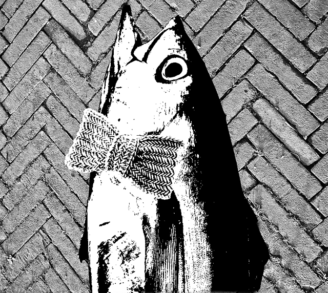 Herringbow-tie