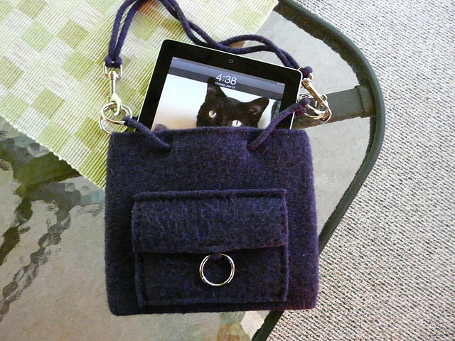 Felted IPad Carrier