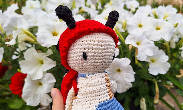 Ladybug and turtle 2in1 doll