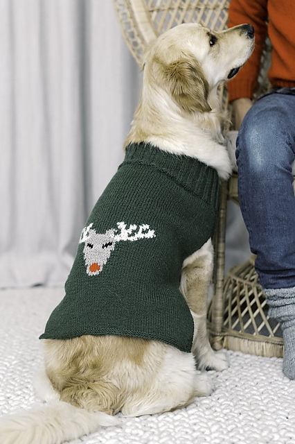 Season's Dog Sweater