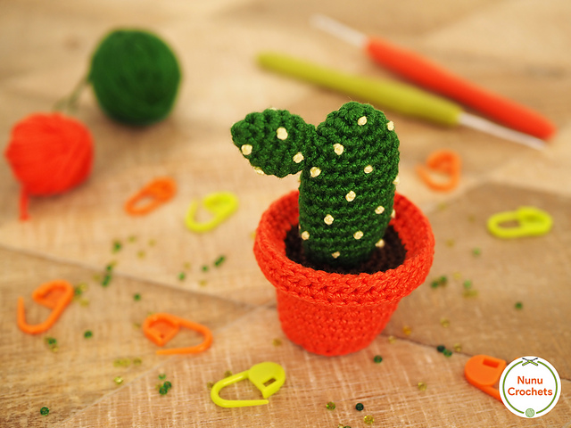 Bunny-ear cactus