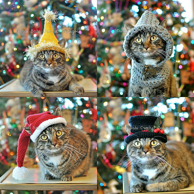 Cat Hats Vol 2:  Winter 2015