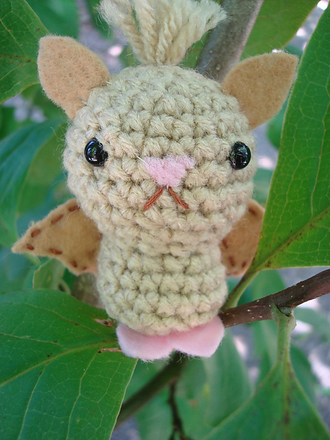 Fruit Bat