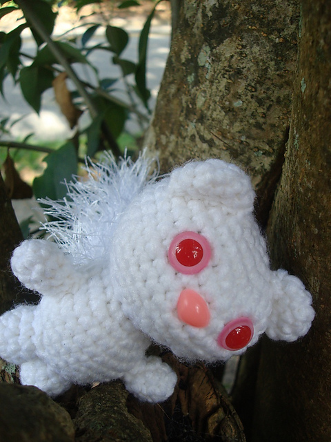 White Squirrel