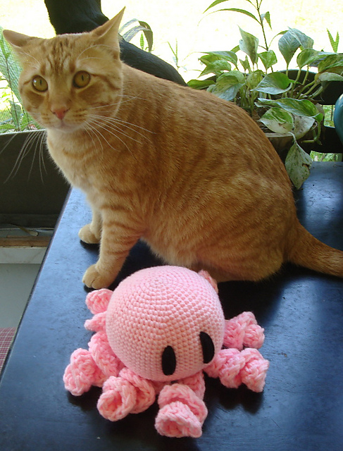 BA Octopus