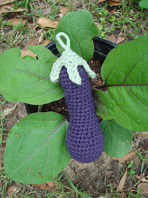 Japanese Eggplant