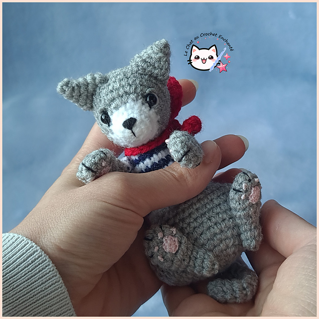 [ Chat ] Nekonoko Dakko Frenchie