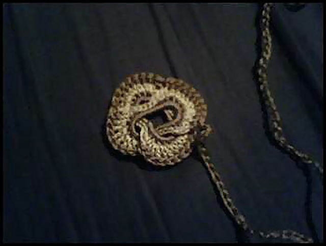 Algerian Love Knot