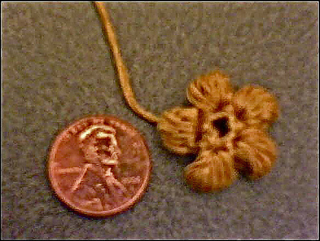 Very Tiny Puff Petal Flower
