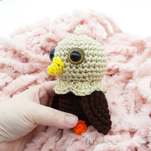 Ezra the Baby Eagle