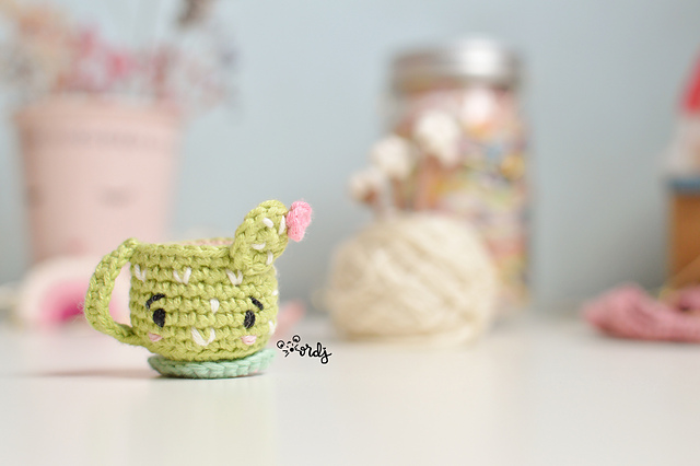 Mini Taza cactus