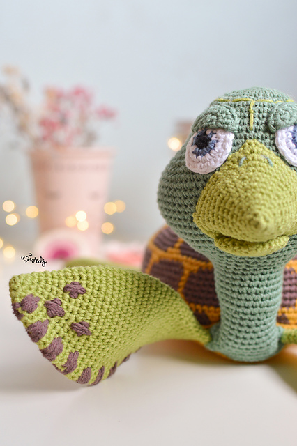 Tuá la tortuga
