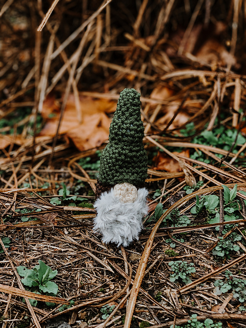 Garden Wizard