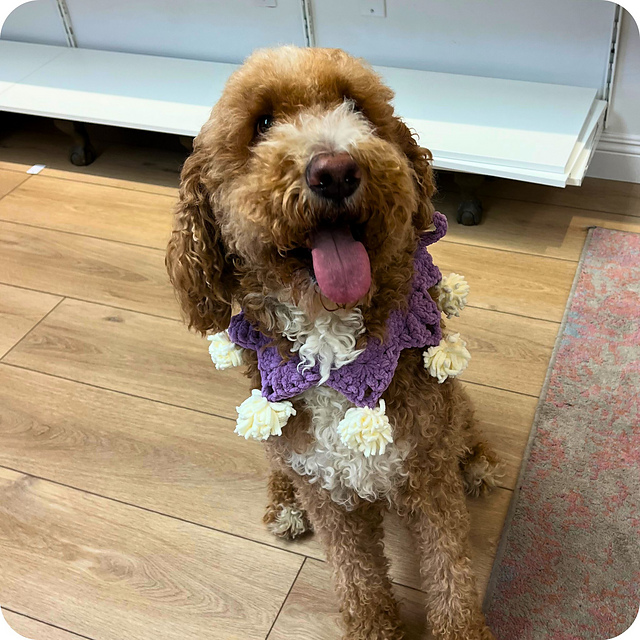 Crochet Halloween Dog Collars
