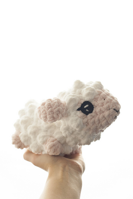 Chubby Sheep
