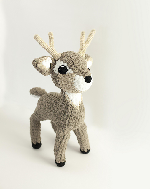 Darcy Deer