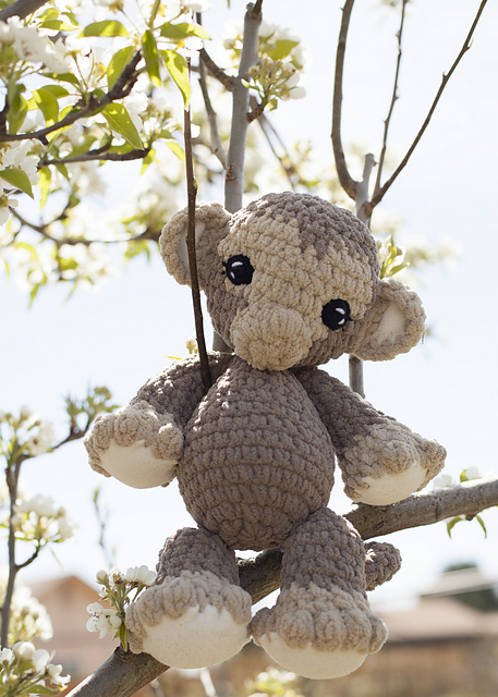 Baby Monkey