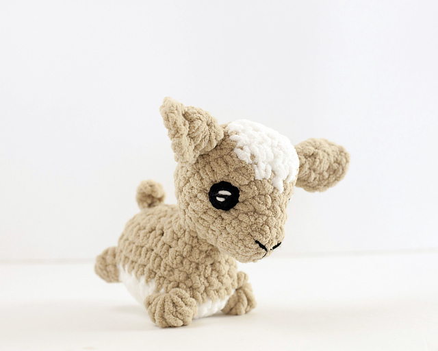 Chubby Goat