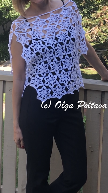 Lace Motifs Top
