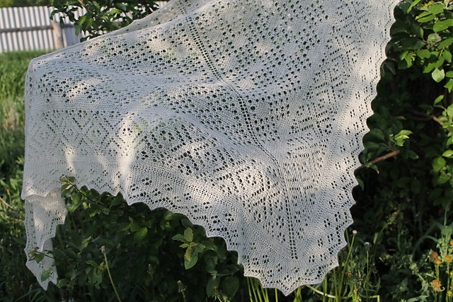Shawl "Debut"