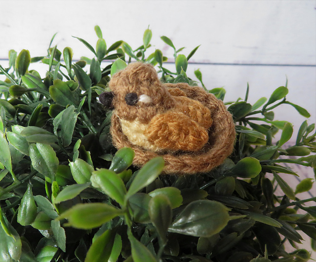 Ravelry: Tiny Wren Bird in Nest pattern by On a Whim by Lynn