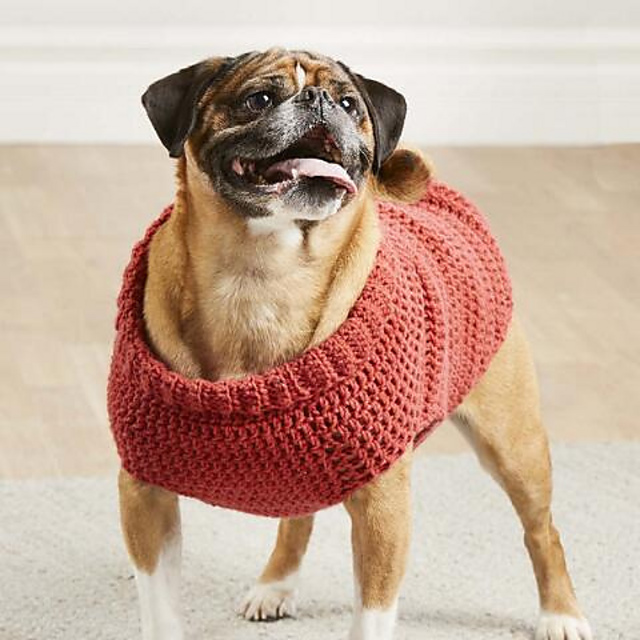 Darling Dog Sweater